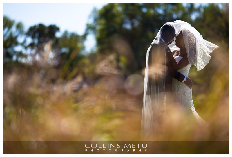 Houston Destination Wedding Photographer Collins Metu Houston Destination Wedding Photographer Collins Metu